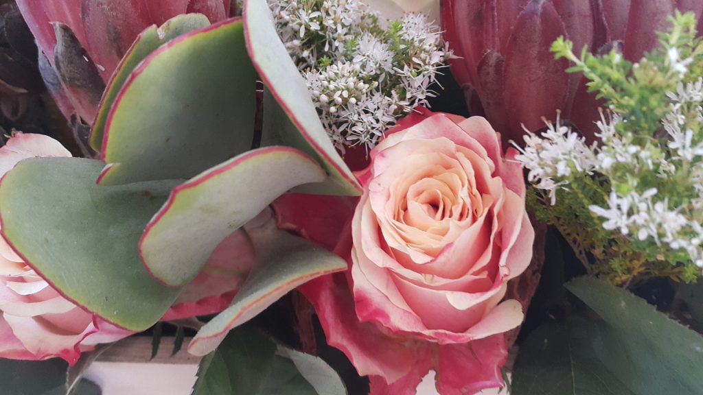 Rose in Centerpiece
